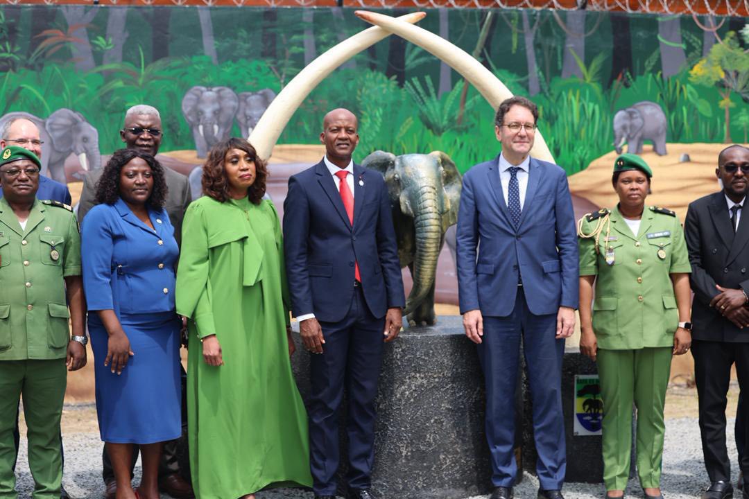 Criminalité environnementale : le gouvernement se dote d’une salle de stockage d’Ivoire